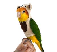 Pantalon | Costume d'oiseau mignon en forme d'ours, tissu de perroquet, cape chaude de perroquet, vêtements multi-usages pour oiseaux, accessoire de cosplay pour perroquet pour perroquets verts