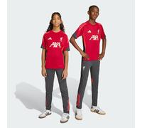 Pantalon d’entraînement Liverpool FC Tiro 25 Competition Utility Black 13-14A