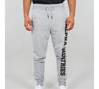 Pantalon de jogging Alpha Industries big letters Gris 3XL