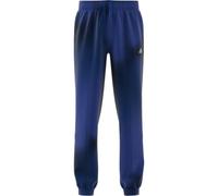 Pantalon de jogging cargo enfant adidas ARKD3 Bleu 9/10 ans