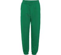 Pantalon de jogging Colorful Standard Organic kelly green Vert M
