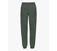 Pantalon de jogging Colorful Standard Organic Midnight Forest Vert 2XL