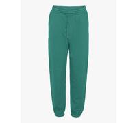 Pantalon de jogging Colorful Standard Organic Pine Green Vert L