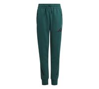 Pantalon de jogging enfant adidas Z.N.E. Vert 7/8 ans