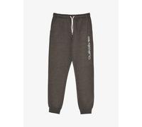 Pantalon de jogging enfant Quiksilver Gris 12 ans