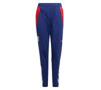 Pantalon d'entraînement enfant OL 2024/25 Bleu 9/10 ans Unisex
