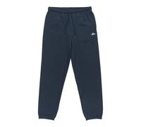 Quiksilver Basic Sweat Pants Bleu S Homme