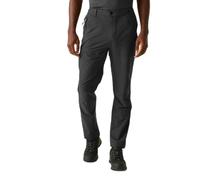 Regatta Highton Ii Pants Gris 30 / Regular Homme
