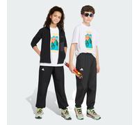 Adidas Terrex Multi 2 Layer Climaproof Rain Track Pants Noir 13-14 Years Enfants