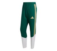 Pantalon de présentation Italie Tiro Coupe du Monde 2026 Vert S Male