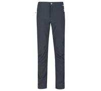 Regatta Geo Softshell Ii Pants Gris 38 / Regular Homme