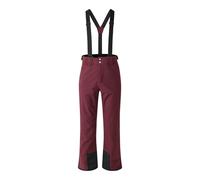 Dare2b Achieve Ii Pants Violet M / Regular Homme