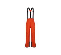 Pantalon de ski Dare2B Achieve II (Rooibos Tea) Homme XXL