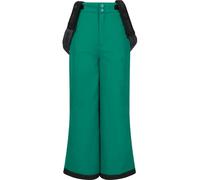 Pantalon de ski enfant Zigzag Soho W-PRO 10000 Vert 6 ans