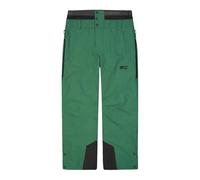Pantalon de ski PICTURE OBJECT PANTS (B Smoke Pine) homme XL