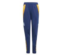 Pantalon de sport long Adidas Real Madrid 24/25 Training