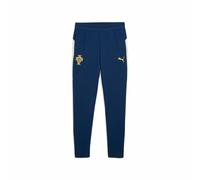 Pantalon de Sport pour Enfant Puma Fpf Training Persian Junior