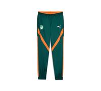 Puma Pantalon tissé d'avant-match Côte d'Ivoire 2025 Homme Vert XS