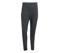 Adidas Liverpool Fc Tiro 25/26 Competition Presentation Tracksuit Pants Gris M / Regular Homme