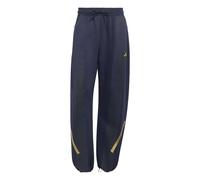 Pantalon de survêtement Argentine Z.N.E. 2026 Bleu L Male