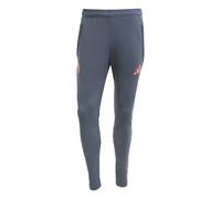 Pantalon de survêtement Bayern Munich 2025/26 Gris M Male
