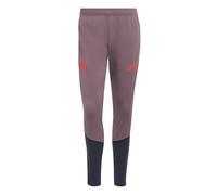 Pantalon de survêtement Bayern Munich Cup 2026/27 Violet M Male