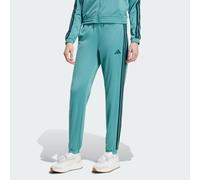 PANTALON DE SURVÊTEMENT DAYREADY Powder Teal / Aurora Ivy M
