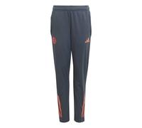 Pantalon de survêtement enfant Bayern Munich 2025/26 Gris 9/10 ans Unisex