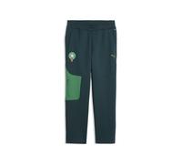 Pantalon de survêtement Maroc PUMATECH Homme, Accessoires, Vert, XL XL