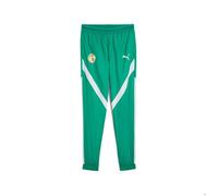PUMA Pantalon de Survêtement Avant-Match Sénégal Homme - Green XS