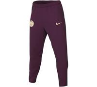 Nike PSG Pants PSG M NK DF Strk Pant Kpz, Bordeaux/Geode Teal/Guava Ice, FN9429-610, L