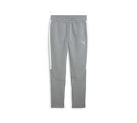 Pantalon de survêtement Puma Evostripe Gris S Male