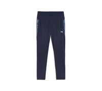 Pantalon de survêtement Puma Team Cup Bleu S Male