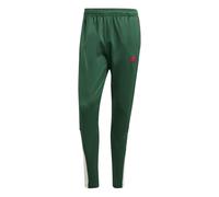Pantalon d'entraînement adidas House Of Tiro Nations Pack Vert 2XL