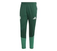 Pantalon d'entraînement Algérie Coupe du Monde 2026 Vert M Male