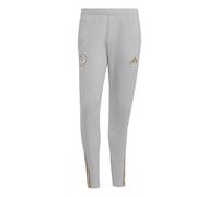 Pantalon d'entraînement Algérie Tiro 23 Gris XS Male
