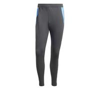 Pantalon d'entraînement Argentine Copa America 2024 Gris S Male