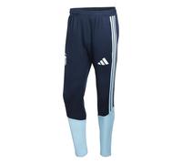 Adidas Argentina 26/27 Tiro Training Tracksuit Pants Bleu M / Regular Homme