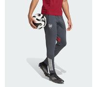Pantalon d'entraînement Arsenal Tiro 25 Competition Grey / Team Coll Burgundy 2 S