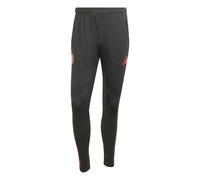 Pantalon d'entraînement Bayern Munich EU 2025/26 Noir S Male