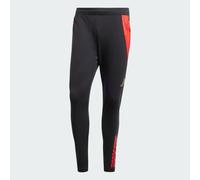 Pantalon d'entraînement Belgique Tiro 24 Competition Black / Better Scarlet M