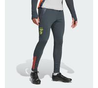 Pantalon d'entraînement Benfica Tiro 24 Competition Night Grey / Semi Solar Red XS