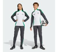Pantalon d'entraînement Celtic FC Tiro 24 Enfants Carbon / Green / Semi Screaming Green / Bold Green 15-16A