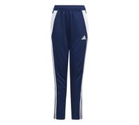 Adidas Tiro24 Regular Tracksuit Pants Bleu 13-14 Years Enfants