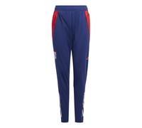 Pantalon d'entraînement enfant OL 2024/25 Bleu 15/16 ans Unisex