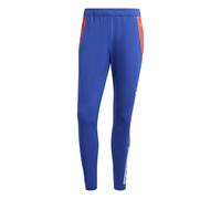 Pantalon d'entraînement Espagne Euro 2024 Bleu XS Male