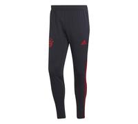Pantalon d'entraînement FC Bayern Munich Condivo 2022/23 Gris S Male