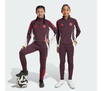 Pantalon d'entraînement FC Bayern Tiro 24 Enfants Shadow Maroon / Red 13-14A
