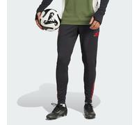 adidas Pantalon Training Bayern Munich 25/26 Noir S