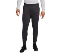 Pantalon d'entraînement Liverpool FC Strike 2024/25 Gris L Male